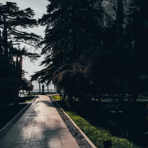 Photo #5838913