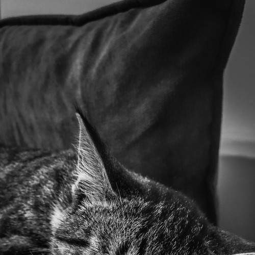 Photo #5838940