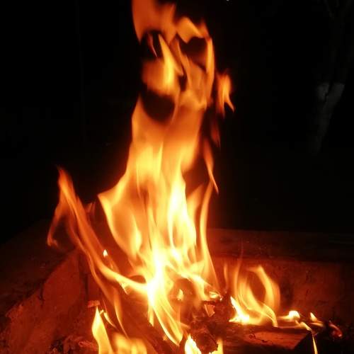 Photo #5838954