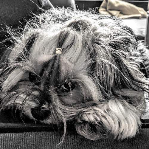 Photo #5839303
