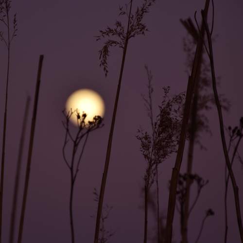 Photo #5839316