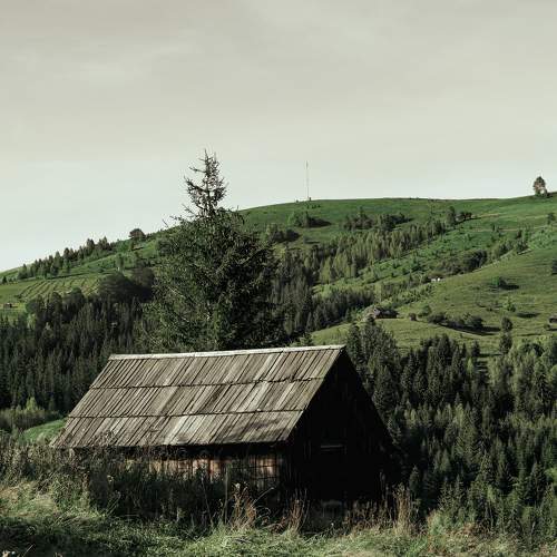 Photo #5839324