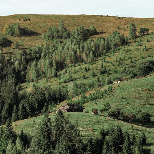 Photo #5839369