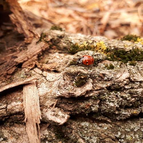 Photo #5839888