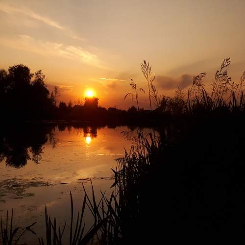 Photo #5839922