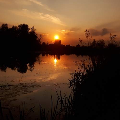 Photo #5839997