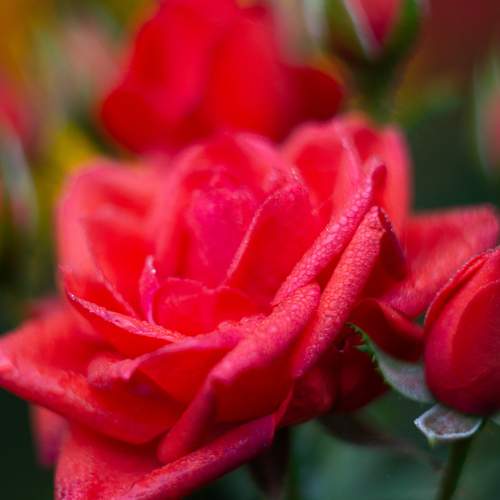 Photo #5840136