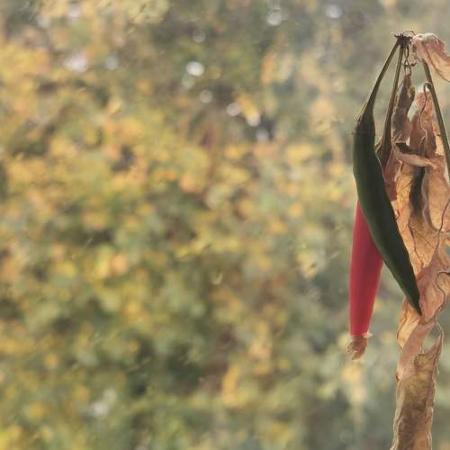 Photo #5840257