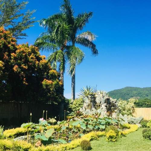 Photo #5840266