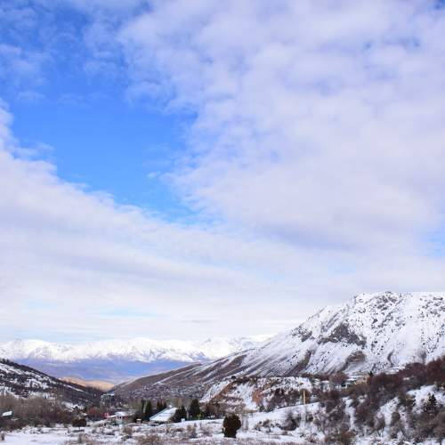 Photo #5840406