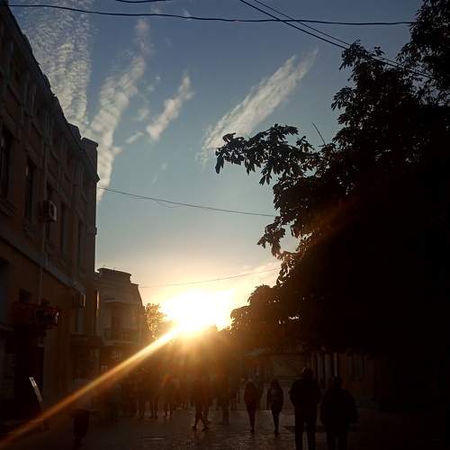 Photo #5840421