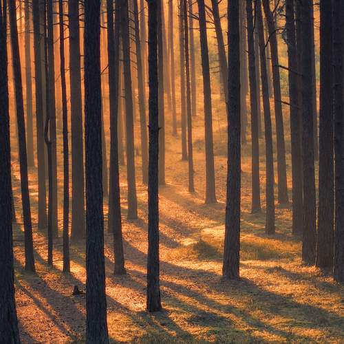 Photo #5840747