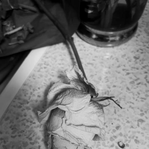 Photo #5840974