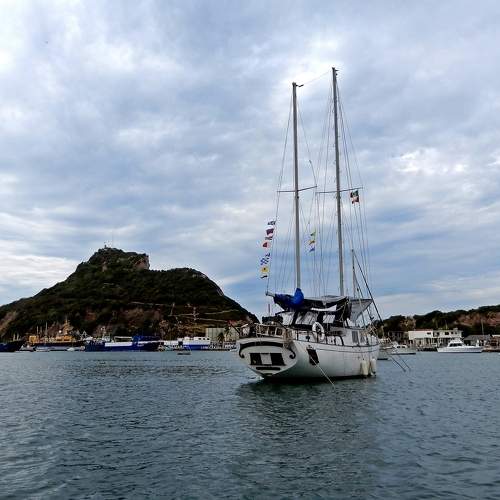 Photo #5841220