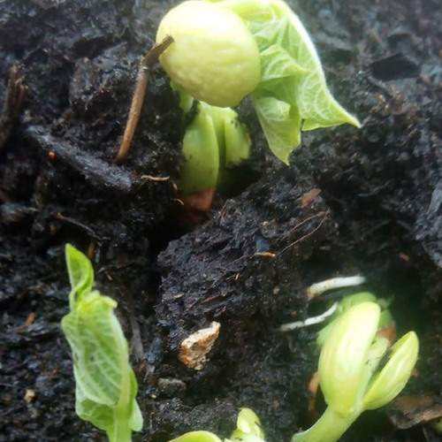 Photo #5841287