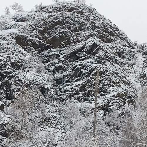 Photo #5841437