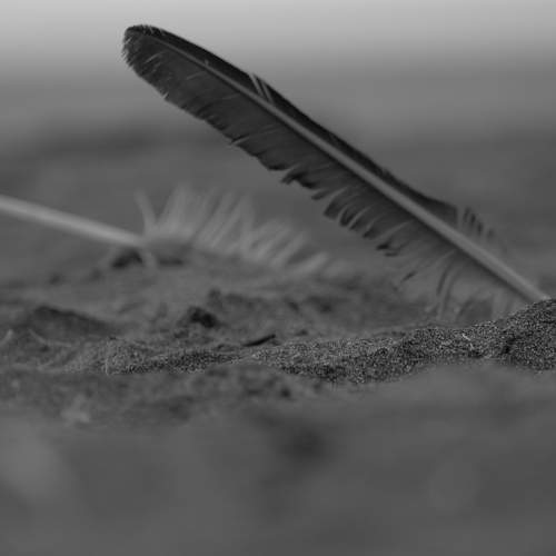 Photo #5841459