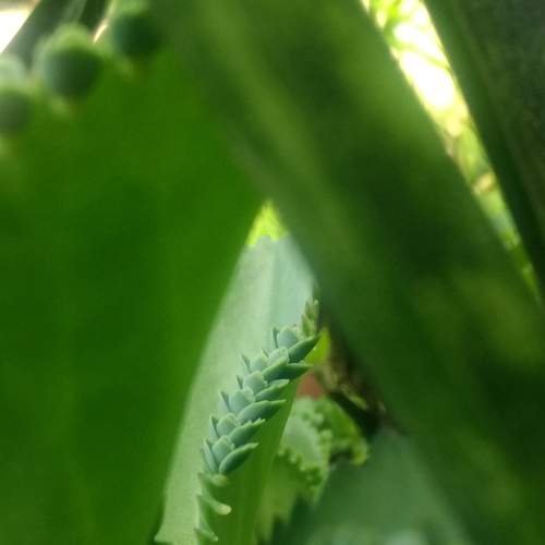 Photo #5841637