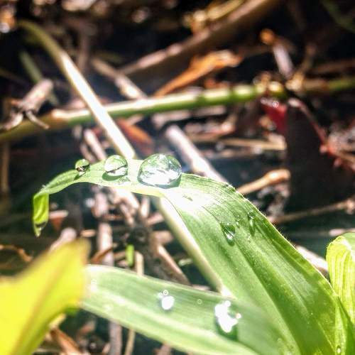 Photo #5841731