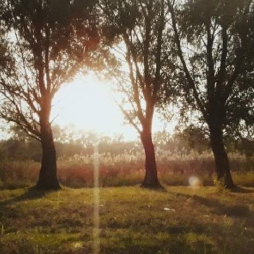 Photo #5842042