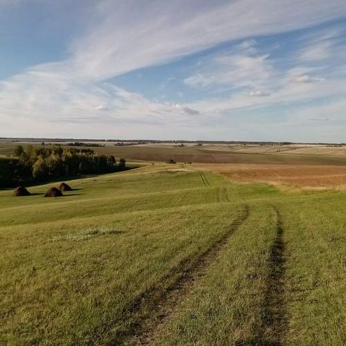 Photo #5842110