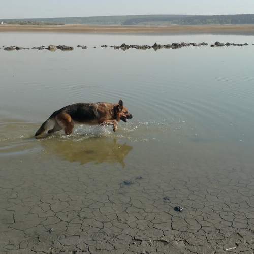 Photo #5842141