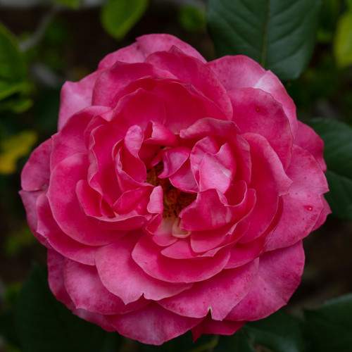 Photo #5842606