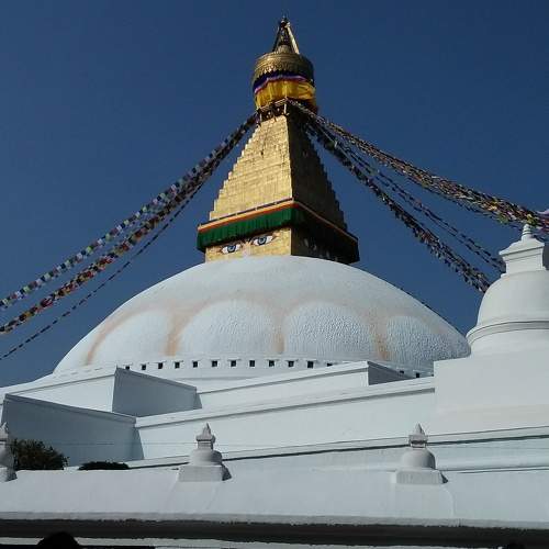 Photo #5842624