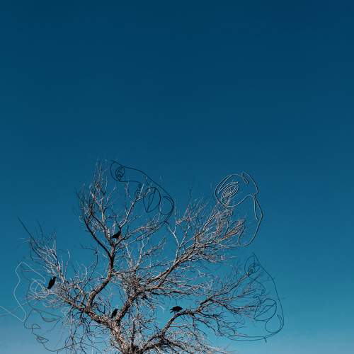 Photo #5842718