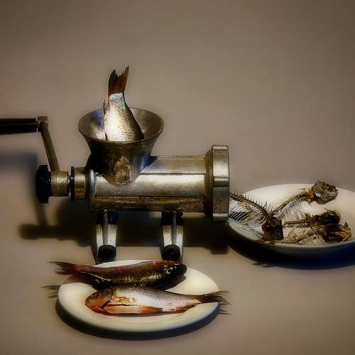 The blender