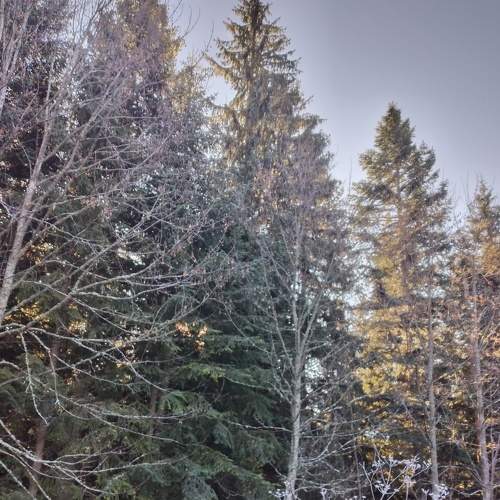 Photo #5842748