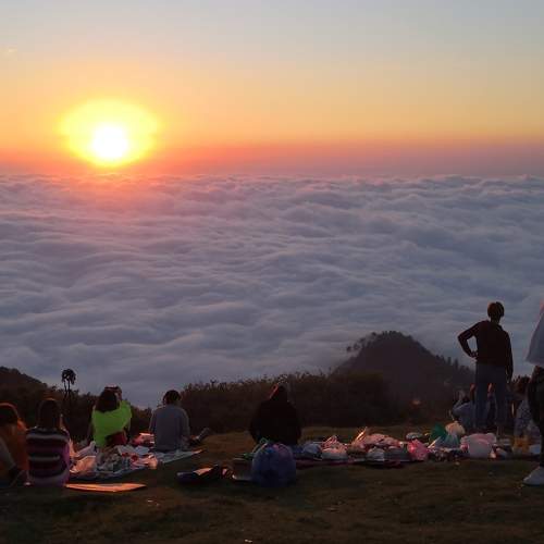 Photo #5842819