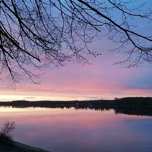 Photo #5842826