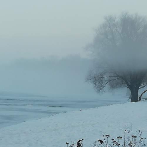 Photo #5842960