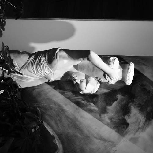 Photo #5842988