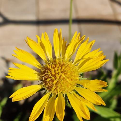 Photo #5843098