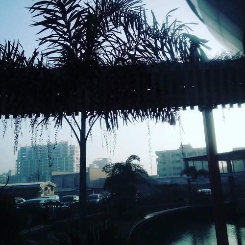 Photo #5843366