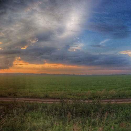 Photo #5843376