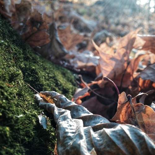 Photo #5843378