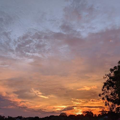 Photo #5843379