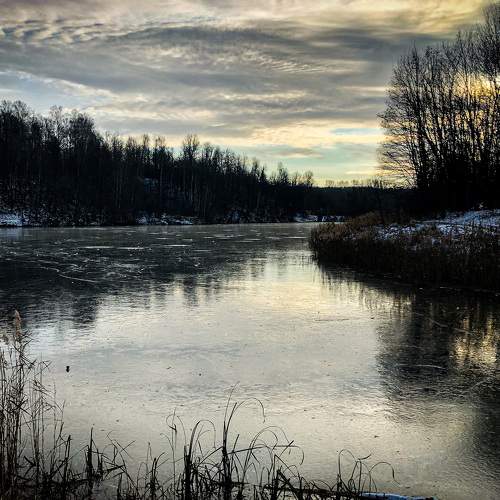 Photo #5843390