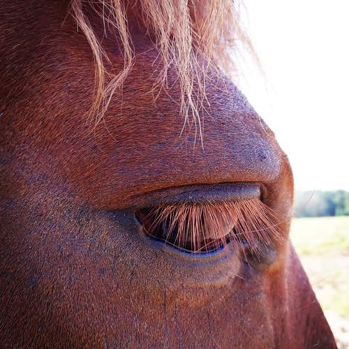 Photo #5843456