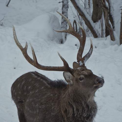 Photo #5843611
