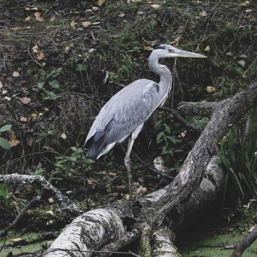 Photo #5843619