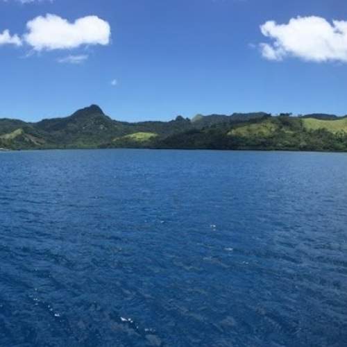 Photo #5843646