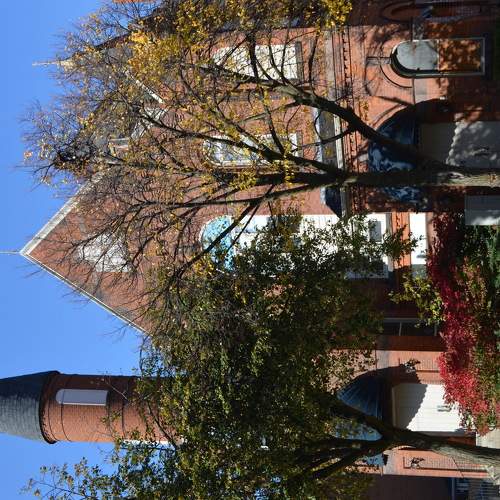 Photo #5843685