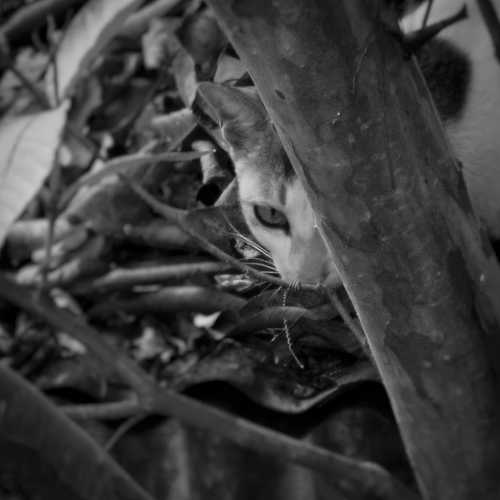 Photo #5843846