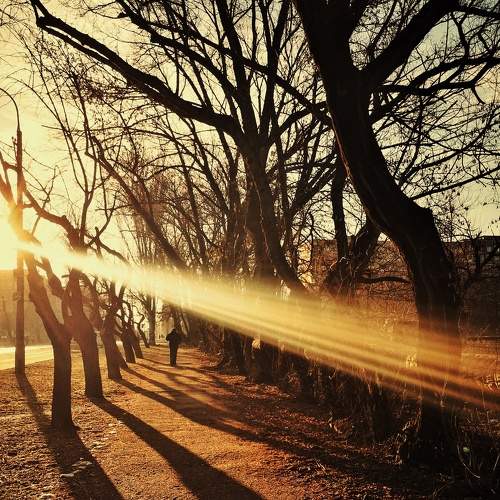 Photo #5843860
