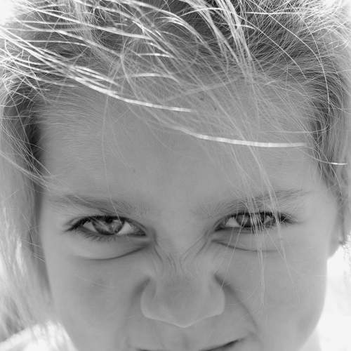 Photo #5843929