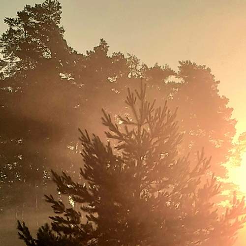 Photo #5843979